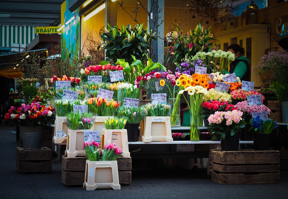 Garden Centre Keynsham