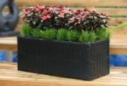 Year-round containers Year-round containers