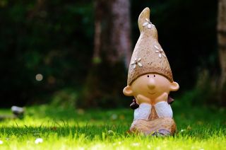 Garden gnomes are becoming a rare species in British gardens