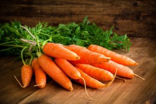 Store your surplus maincrop carrots